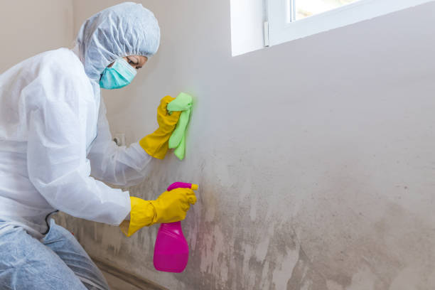 Best Industrial Mold Remediation  in Caddo, OK